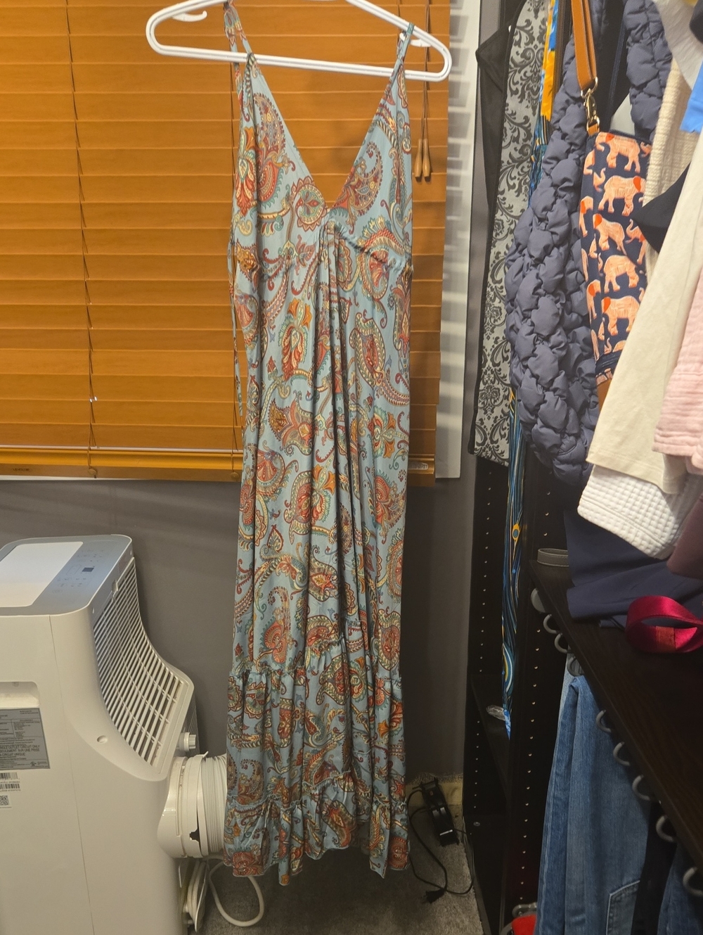 Paisley Print Maxi Dress in Light Blue and Rust